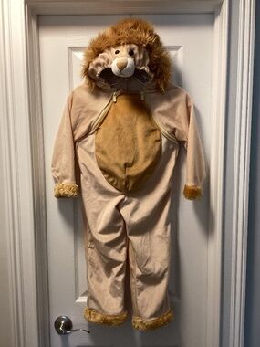 Children’s Lion Costume